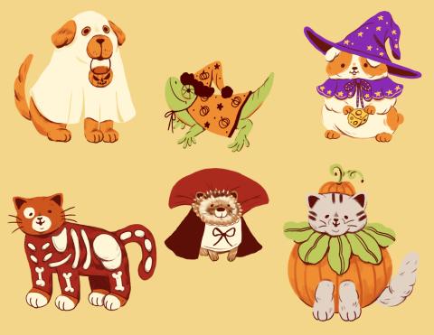 Costume Storytime