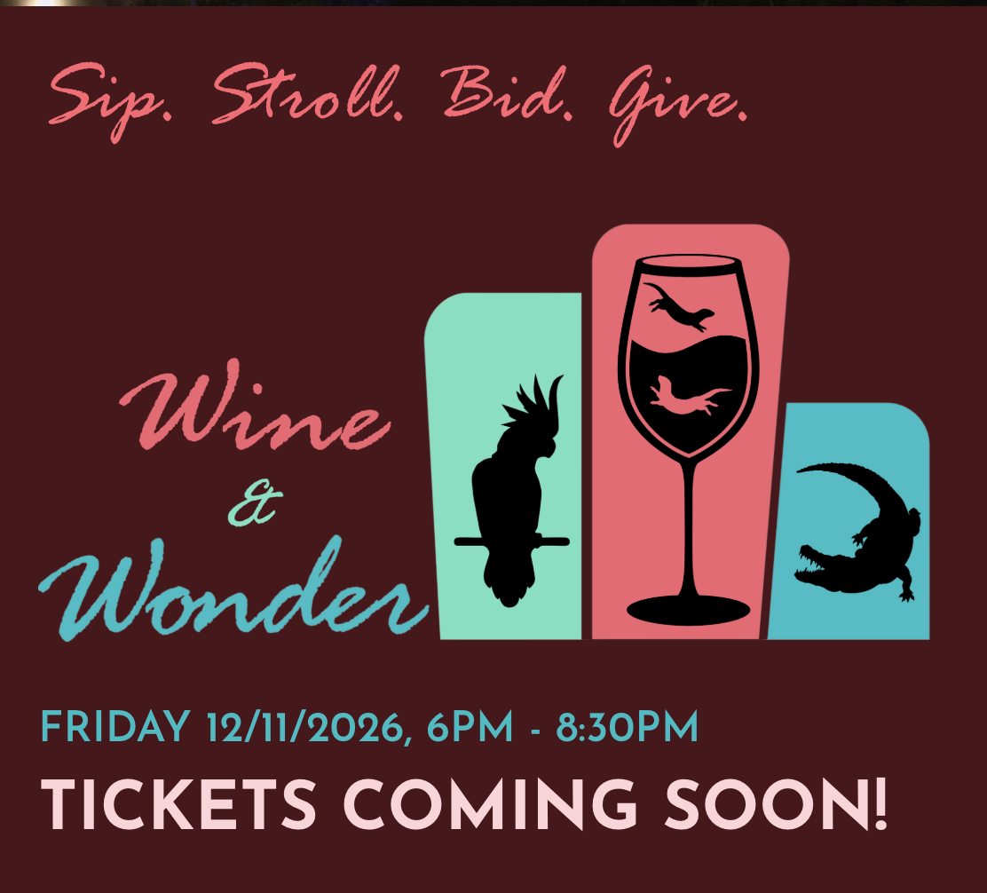 Wine & Wonder
