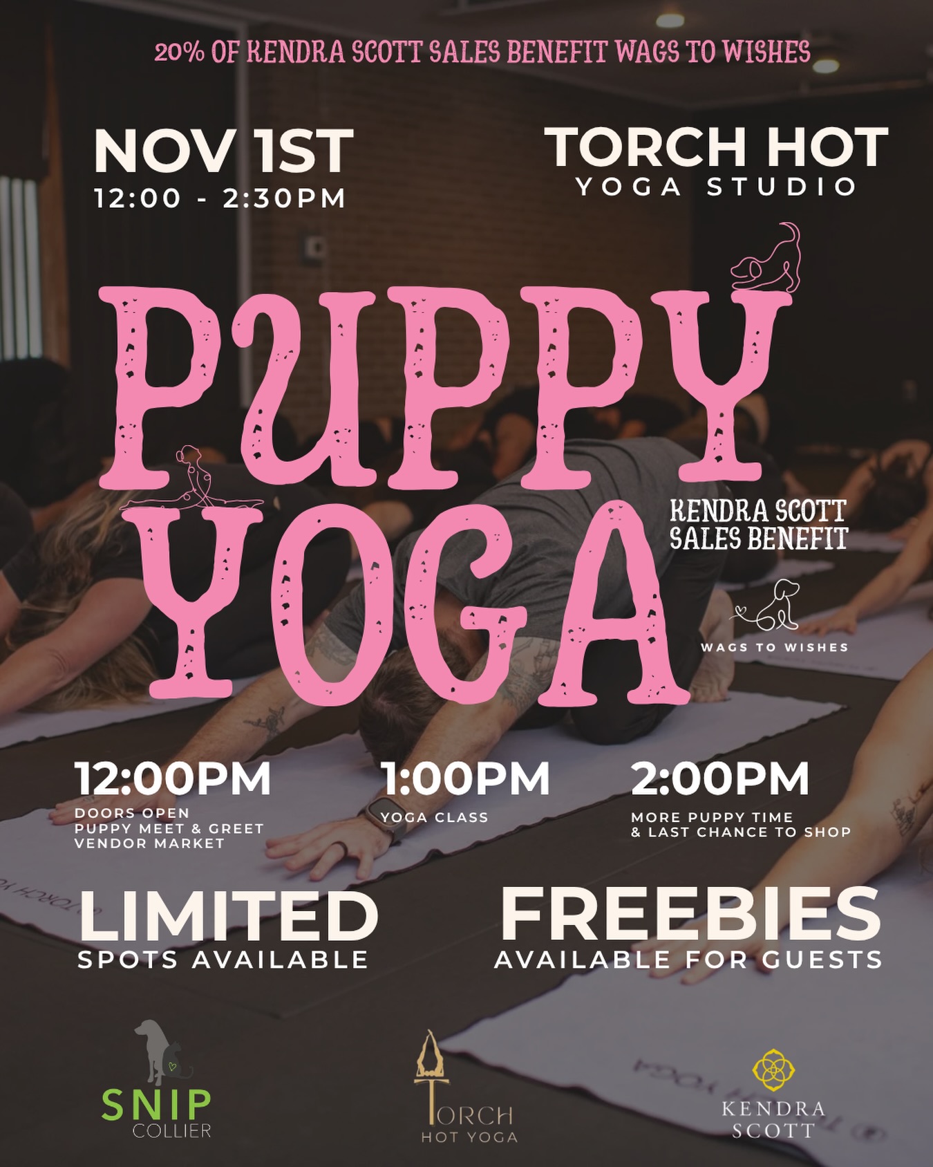 Puppy Yoga benefiting Wags To Wishes