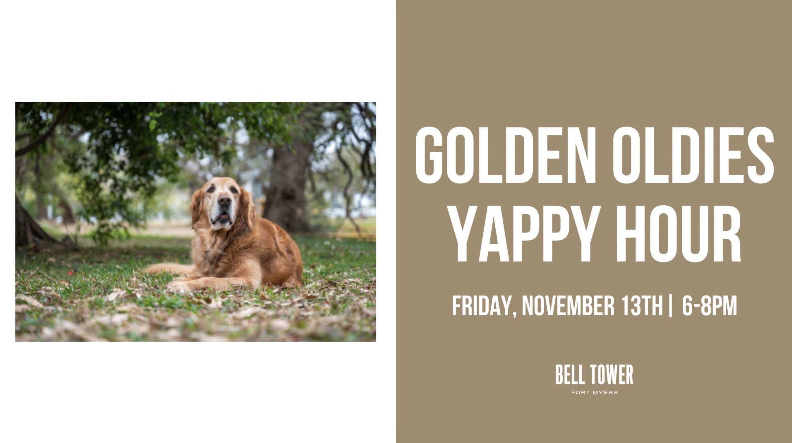 Golden Oldies Yappy Hour
